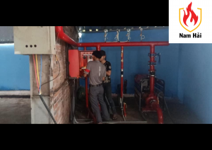 Lắp đặt cụm bơm  cho hệ thống